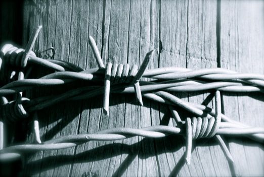 barbed wire B&W
