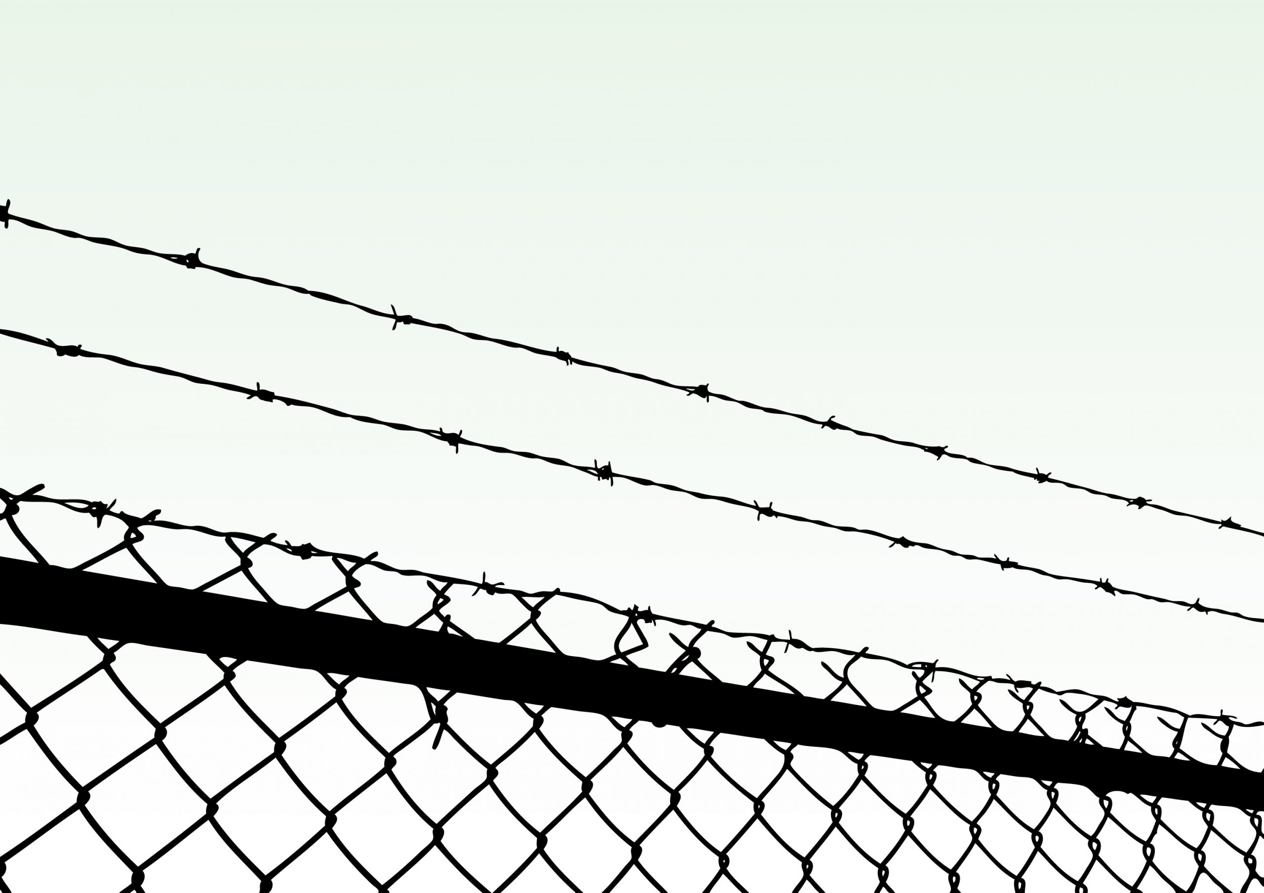 prison fence