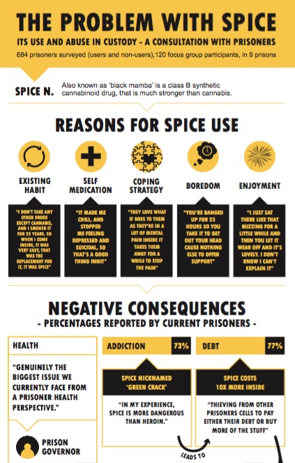 Spice infographic edit