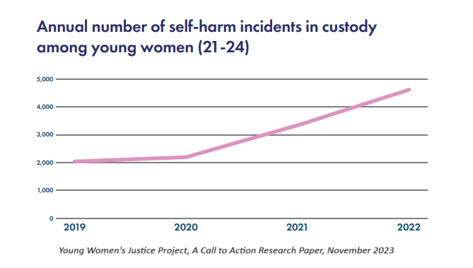 Young Women's Justice Project, A Call to Action Research Paper, November 2023