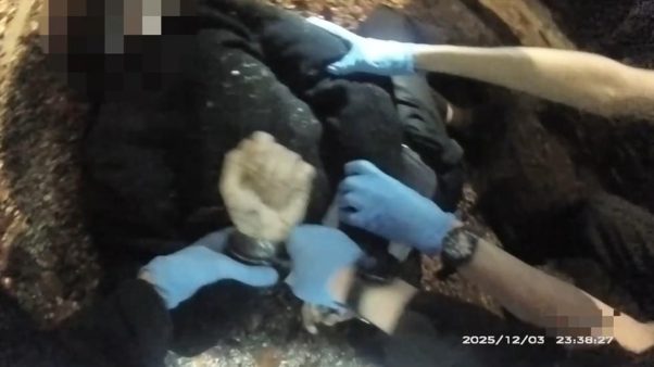 Picture1